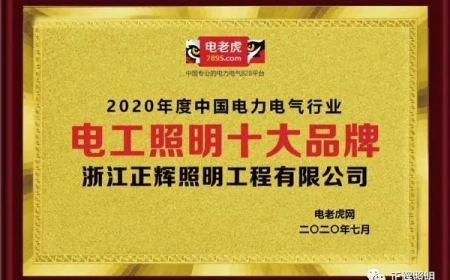 品牌榮譽(yù)！祝賀浙江正輝照明榮膺2020年“電工照明十大品牌”